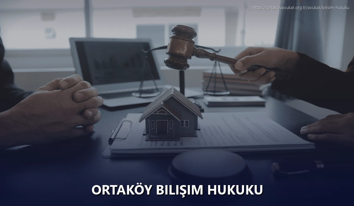 Ortaköy Bilişim Hukuku